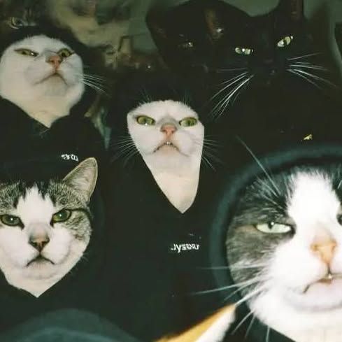 Tribe, Not followers